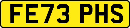 FE73PHS