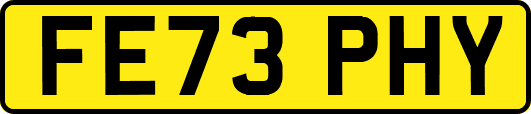 FE73PHY