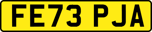 FE73PJA