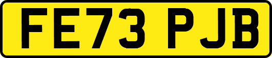 FE73PJB