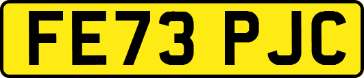 FE73PJC
