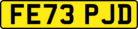 FE73PJD