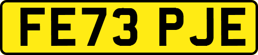 FE73PJE