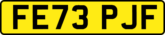 FE73PJF