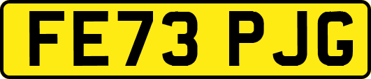 FE73PJG