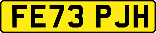 FE73PJH