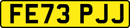 FE73PJJ