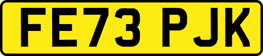 FE73PJK