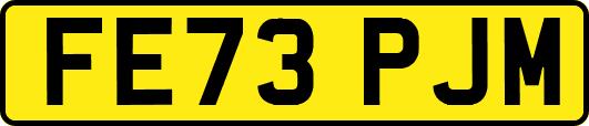 FE73PJM