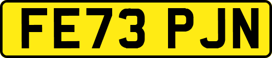 FE73PJN