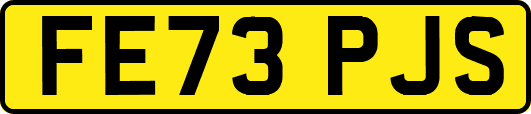 FE73PJS