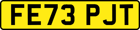 FE73PJT