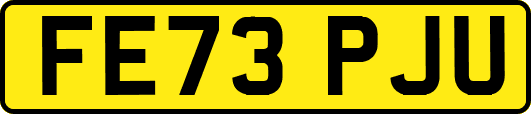 FE73PJU