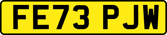 FE73PJW