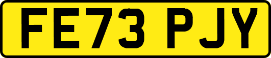 FE73PJY