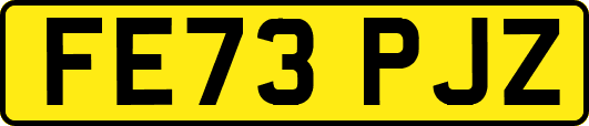 FE73PJZ