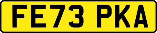 FE73PKA