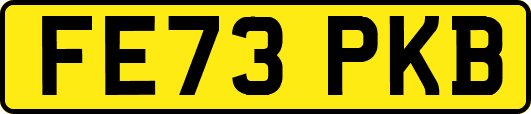 FE73PKB