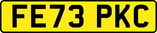 FE73PKC