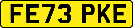 FE73PKE