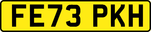 FE73PKH