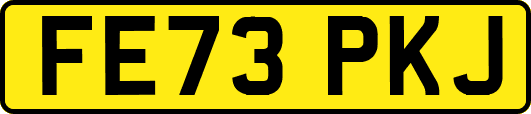 FE73PKJ