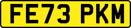 FE73PKM