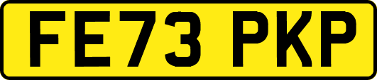 FE73PKP
