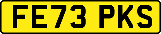 FE73PKS