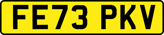 FE73PKV