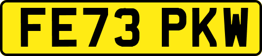 FE73PKW