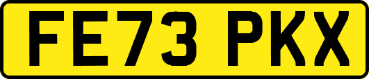 FE73PKX