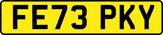 FE73PKY
