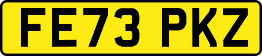FE73PKZ