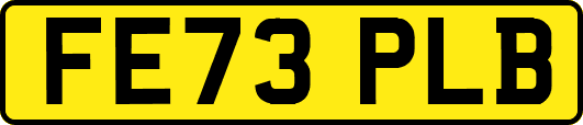 FE73PLB