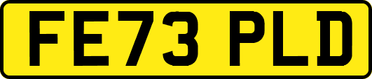 FE73PLD