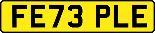 FE73PLE