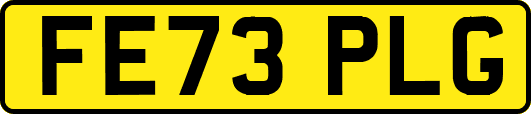 FE73PLG