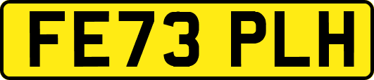FE73PLH