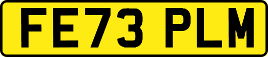 FE73PLM