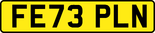 FE73PLN