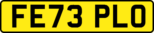 FE73PLO