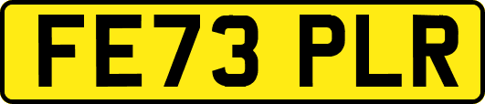 FE73PLR