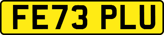 FE73PLU