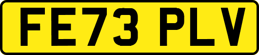 FE73PLV