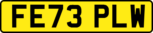 FE73PLW