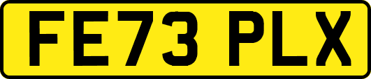 FE73PLX