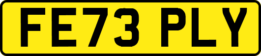 FE73PLY