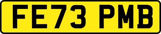 FE73PMB