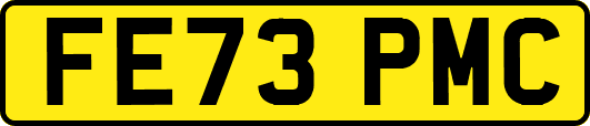 FE73PMC